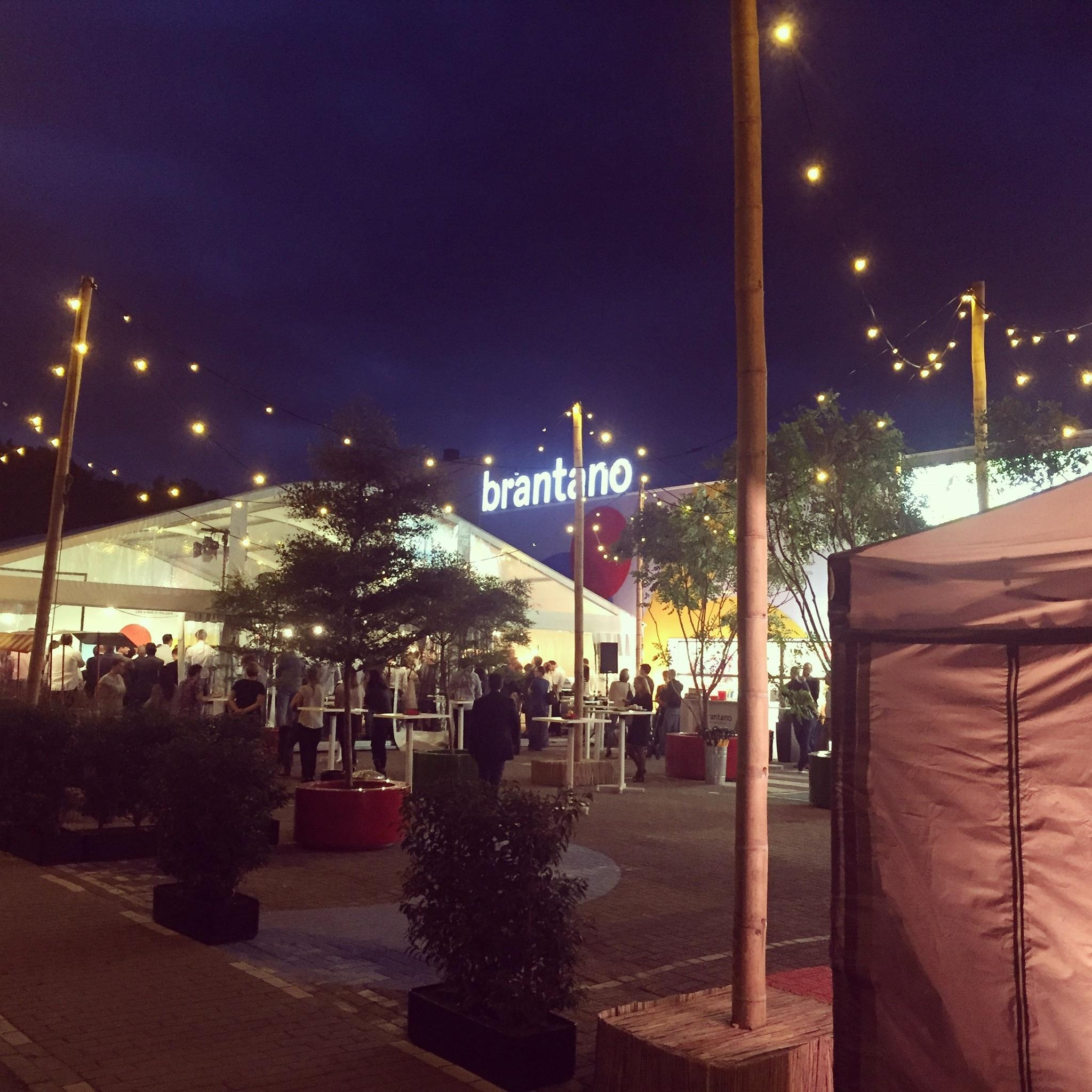 projectie schermen 