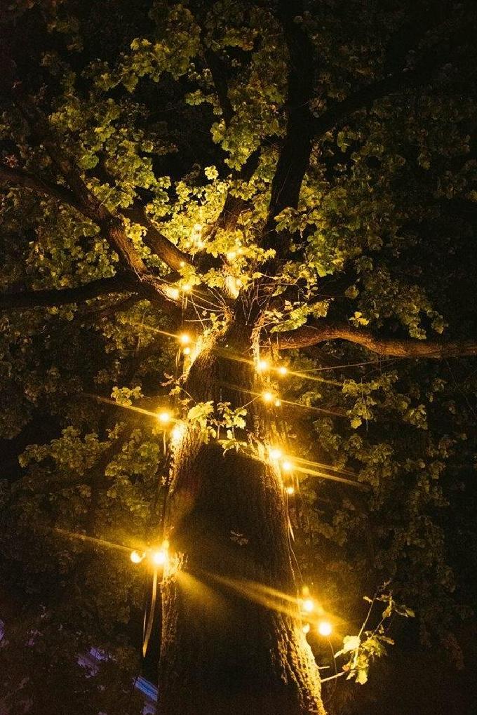 guirlande lumineuse 